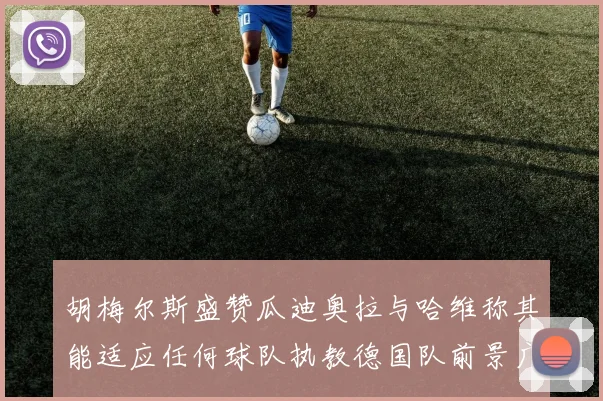 胡梅尔斯盛赞瓜迪奥拉与哈维称其能适应任何球队执教德国队前景广阔