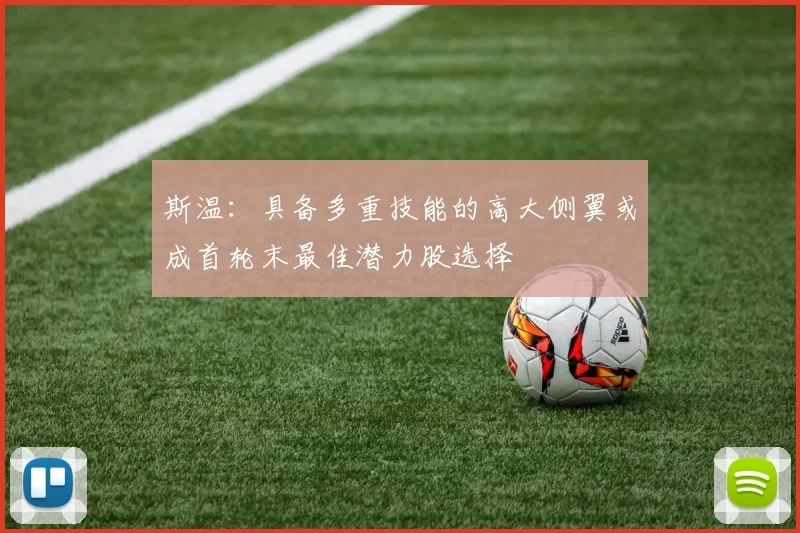 斯温：具备多重技能的高大侧翼或成首轮末最佳潜力股选择