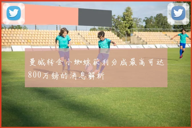 曼城转会小蜘蛛获利分成最高可达800万镑的消息解析